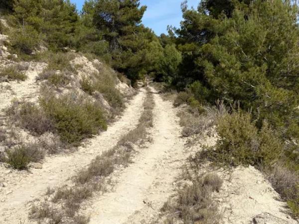 Terreno en Barranc l orta, 1