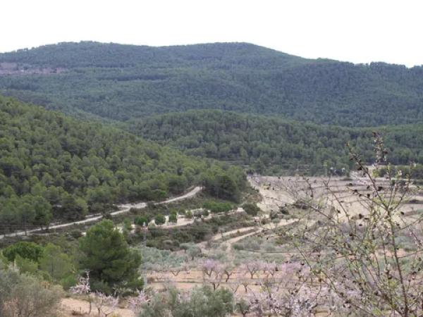 Terreno en Barranc l orta, 1