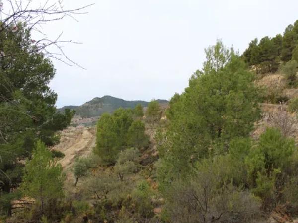 Terreno en Barranc l orta, 1
