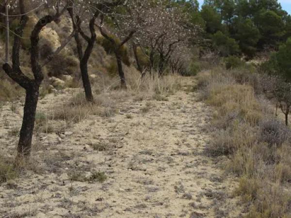 Terreno en Barranc l orta, 1