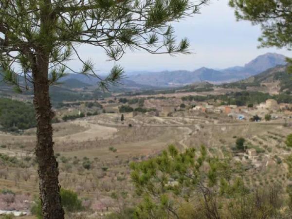 Terreno en Barranc l orta, 1
