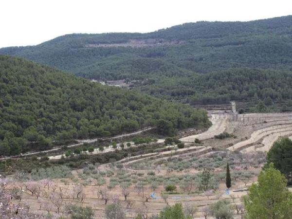 Terreno en Barranc l orta, 1