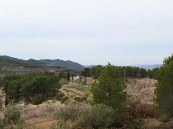 Terreno en Barranc l orta, 1