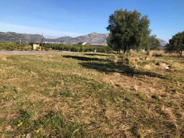 Terreno en carretera orba s/n