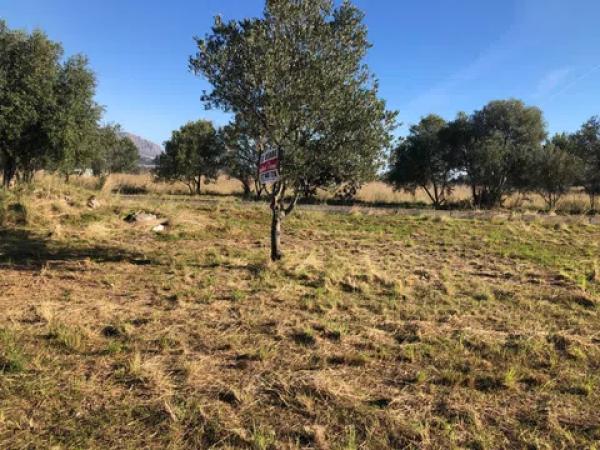 Terreno en carretera orba s/n