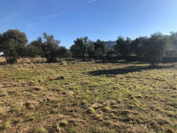 Terreno en carretera orba s/n