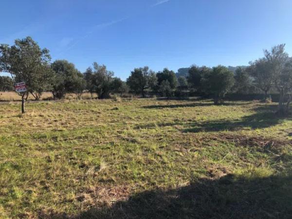 Terreno en carretera orba s/n