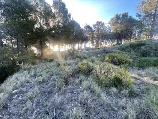 Terreno en Guadalest