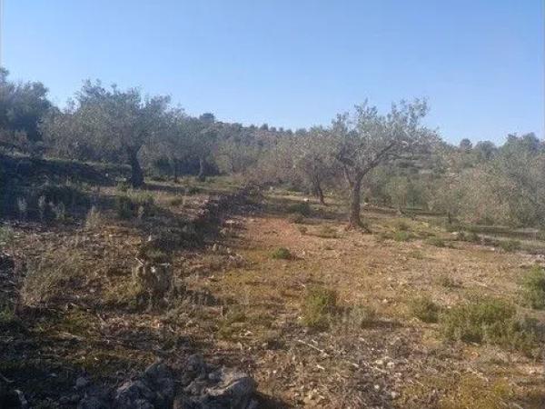 Terreno en camino partida cauvells s/n