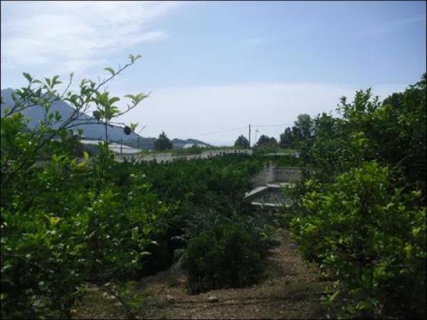 Terreno en Partida Onaer, 1