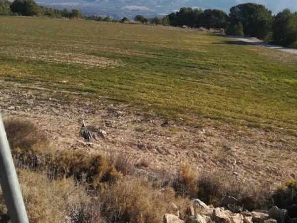 Terreno en via del Mediterráneo, 3