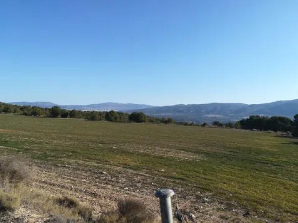 Terreno en via del Mediterráneo, 3
