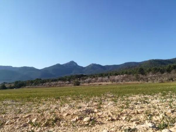 Terreno en via del Mediterráneo, 3