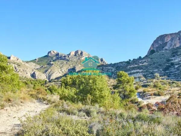 Terreno en plaza de l'Ajuntament, 15 -13