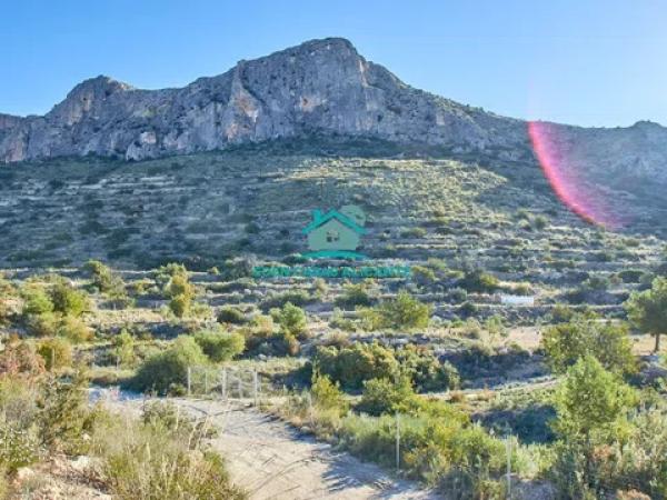 Terreno en plaza de l'Ajuntament, 15 -13