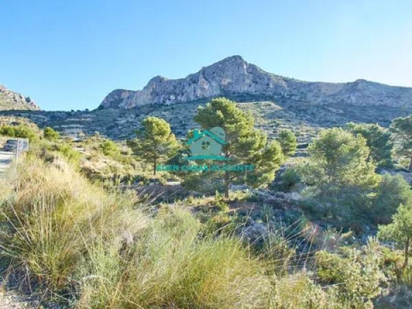 Terreno en plaza de l'Ajuntament, 15 -13