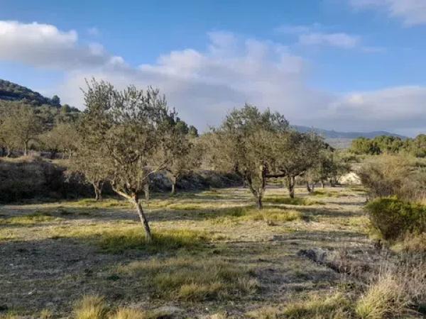 Terreno en Cv-711 s/n