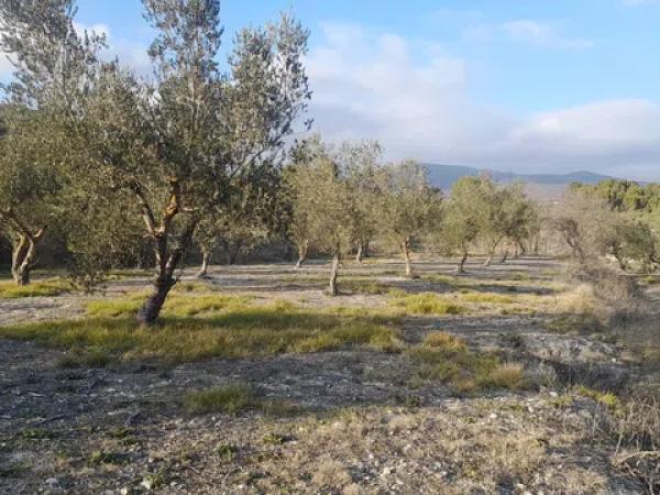 Terreno en Cv-711 s/n