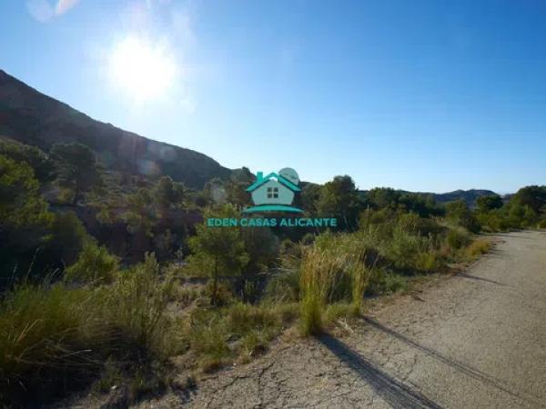 Terreno en plaza de l'Ajuntament, 15 -13