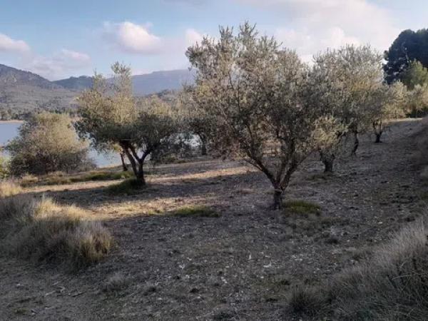 Terreno en Cv-711 s/n