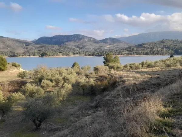 Terreno en Cv-711 s/n