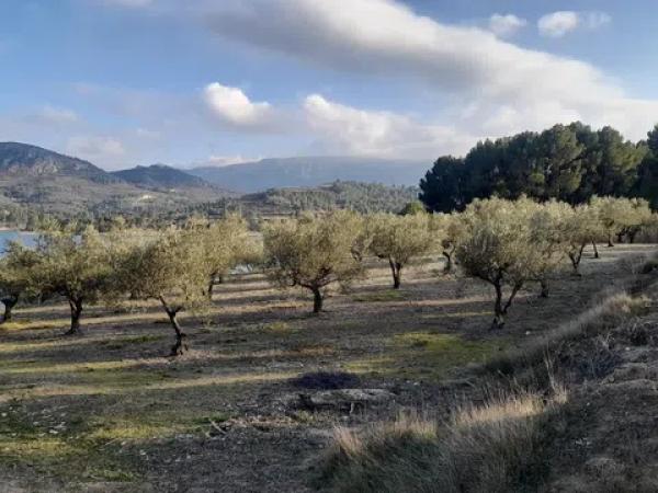 Terreno en Cv-711 s/n