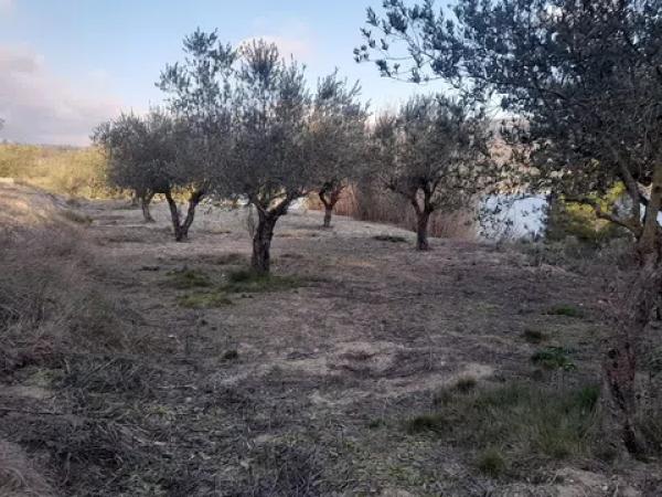 Terreno en Cv-711 s/n