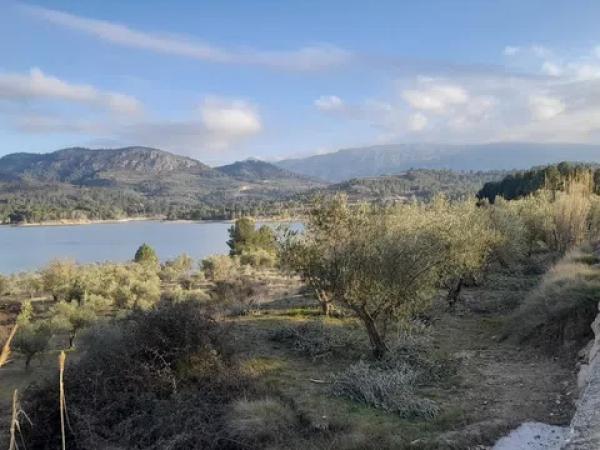 Terreno en Cv-711 s/n