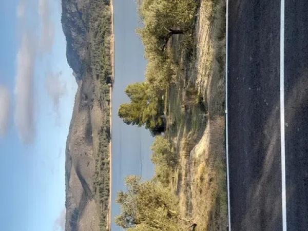 Terreno en Cv-711 s/n