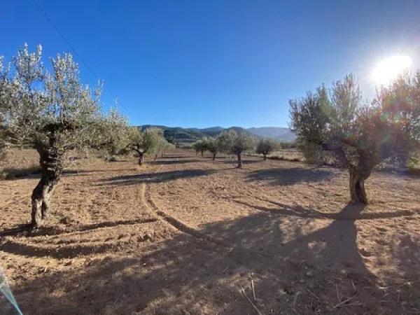 Terreno en Cv-80 s/n