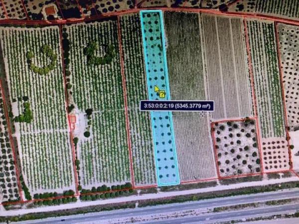 Terreno en Cv-80 s/n