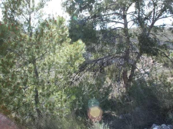 Terreno en Los Batistes, 76