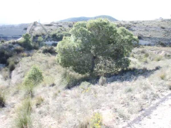 Terreno en Los Batistes, 76