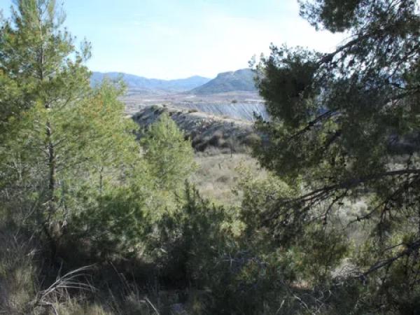 Terreno en Los Batistes, 76