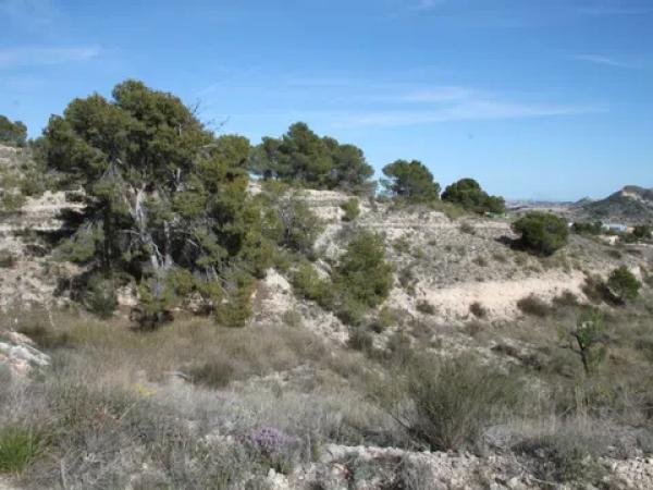 Terreno en Los Batistes, 76