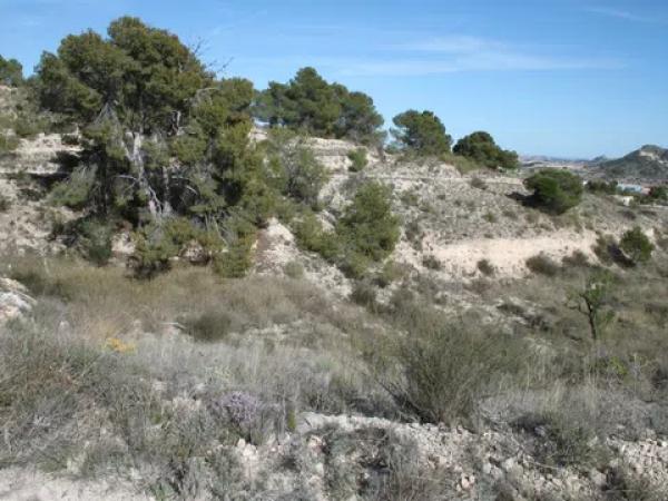 Terreno en Los Batistes, 76