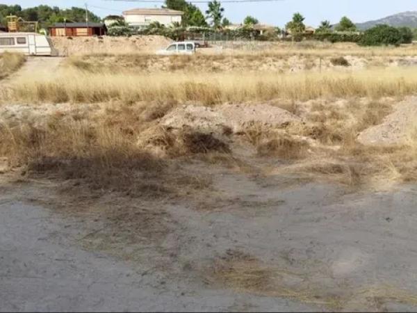 Terreno en Urbanización finca terol s/n