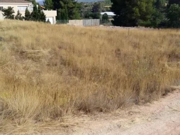 Terreno en Urbanización finca terol s/n