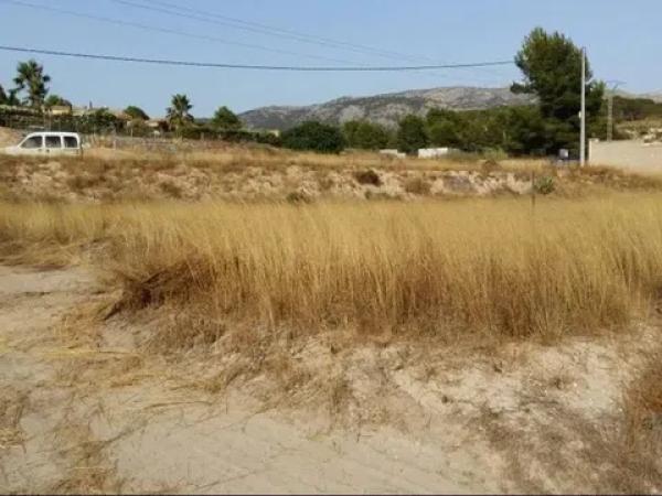 Terreno en Urbanización finca terol s/n