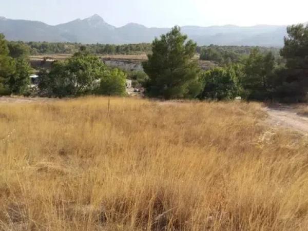 Terreno en Urbanización finca terol s/n