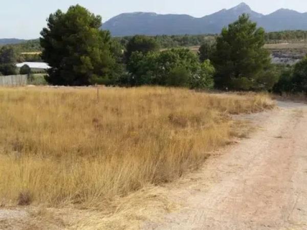 Terreno en Urbanización finca terol s/n