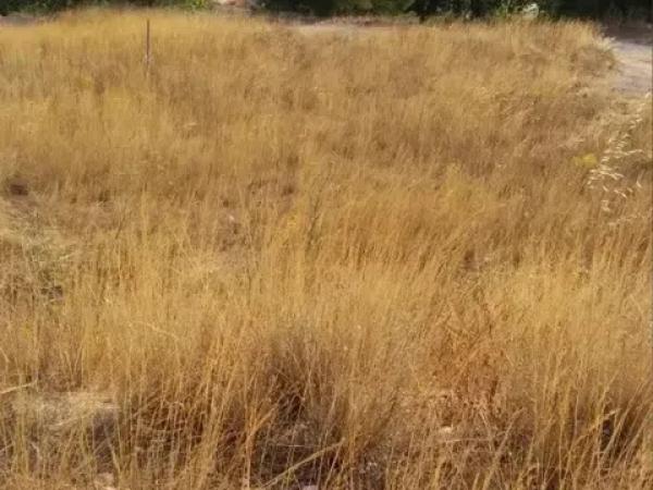 Terreno en Urbanización finca terol s/n