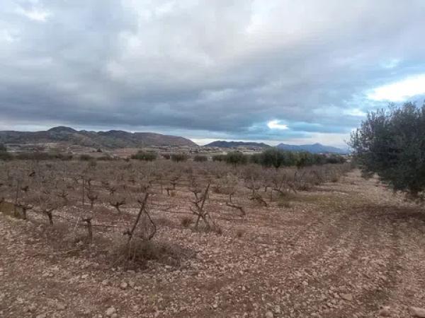 Terreno en Los Leros, 2 -16