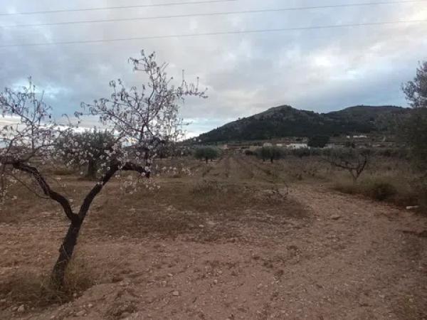 Terreno en Los Leros, 2 -16