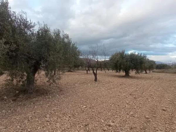 Terreno en Los Leros, 2 -16