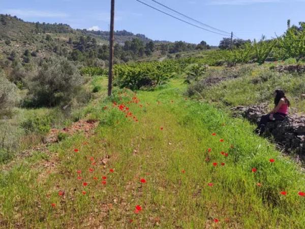 Terreno en Cv-700, 700