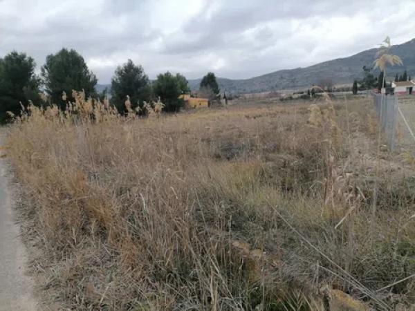 Terreno en Rincon Del Espino. Villena (alicante) s/n ctradeyecla