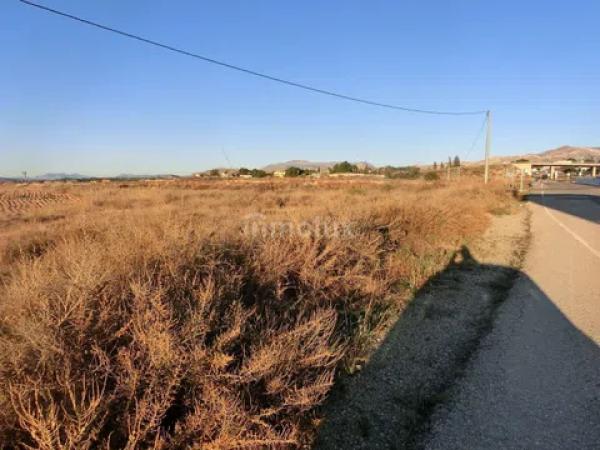 Terreno en avenida del Pla Olivera