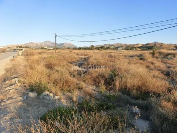 Terreno en avenida del Pla Olivera