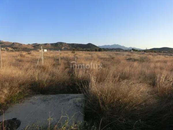 Terreno en avenida del Pla Olivera